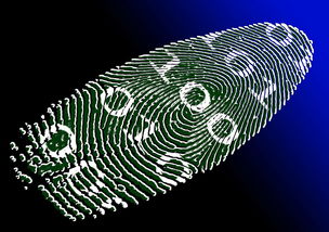九游登录入口-运动表现评估技术的可靠性与实用性分析，运动表现测试与评估指南